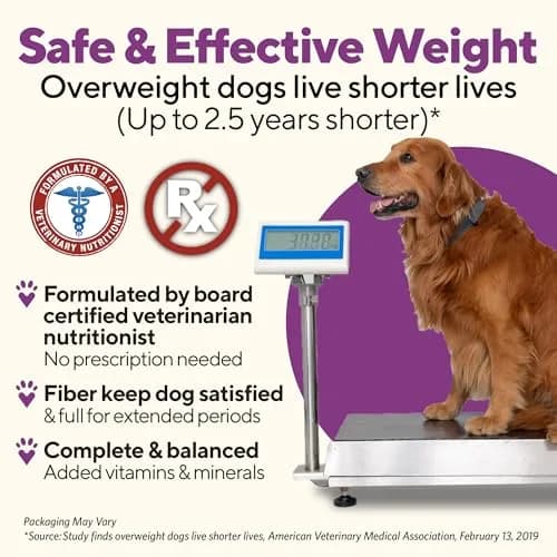 Dave's Pet Food Weight Management Dog Food, Turkey & Vegetables, 13.2 oz | Supports Weight Loss & Energy thumbnail 2
