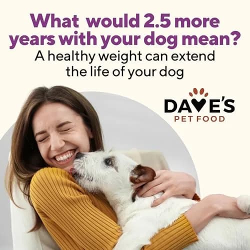 Dave's Pet Food Weight Management Dog Food, Turkey & Vegetables, 13.2 oz | Supports Weight Loss & Energy thumbnail 3