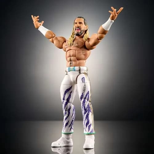 Mattel WWE Elite Action Figure Seth "Freakin" Rollins 6-inch | Collectible with 25 Articulation Points thumbnail 4