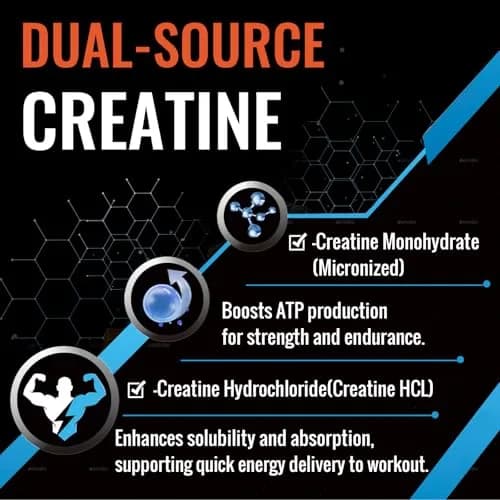 Zeylamum Liposomal Creatine Monohydrate Chewable Tablets 4220mg | 60ct, Unflavored, Sugar-Free, Supports Performance & Recovery thumbnail 5