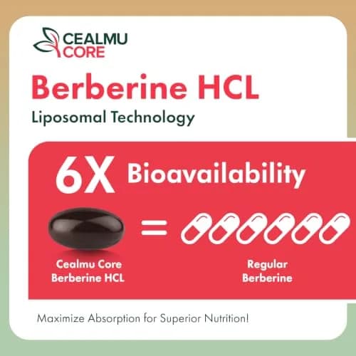 CEALMU CORE Liposomal Berberine HCL 60 Count | High Bioavailability Supplement for Adults thumbnail 7