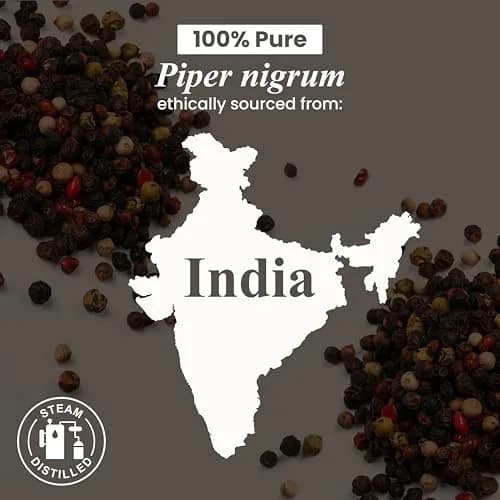 Handcraft Blends Black Pepper Essential Oil 30ml (1 Fl Oz) | Pure, Natural, Premium Grade for Diffuser & Soap Making thumbnail 5