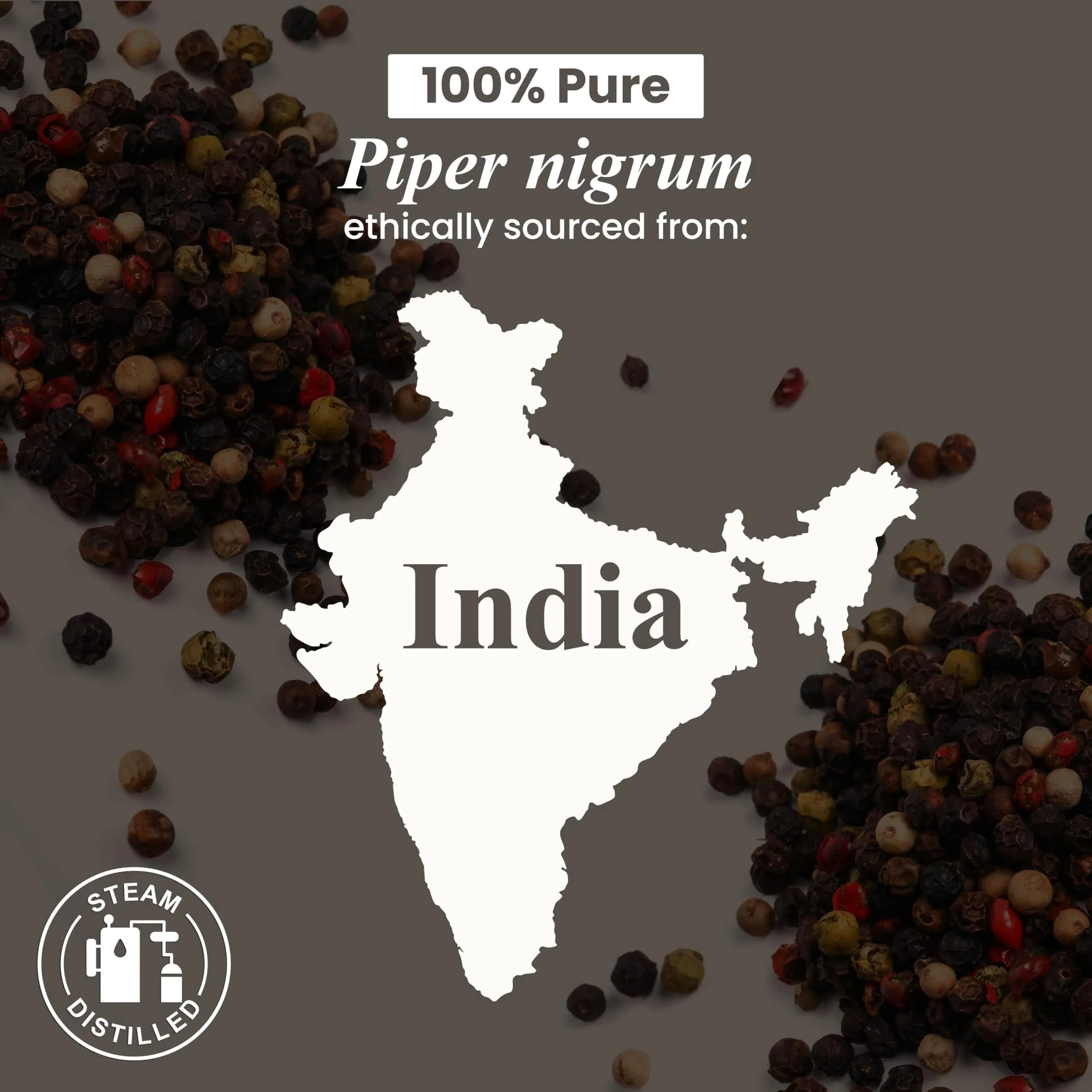 Handcraft Blends Black Pepper Essential Oil 30ml (1 Fl Oz) | Pure & Natural for Aromatherapy & Soap Making - view 5