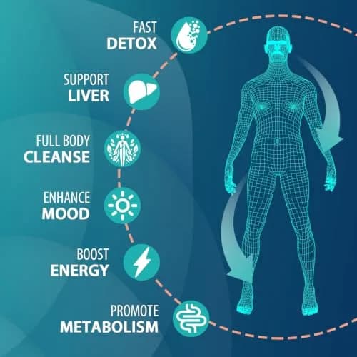 MythoTecq 90,000 MG Detox & Cleanse Capsules | Natural Herbal Liver & Kidney Support, 60 Caps thumbnail 4