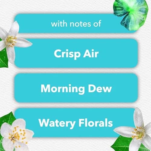 Glade PlugIns Refills Air Freshener Dewdrop Petals 0.67 Fl Oz (20ml) x 5 Count | Scented with Essential Oils thumbnail 4