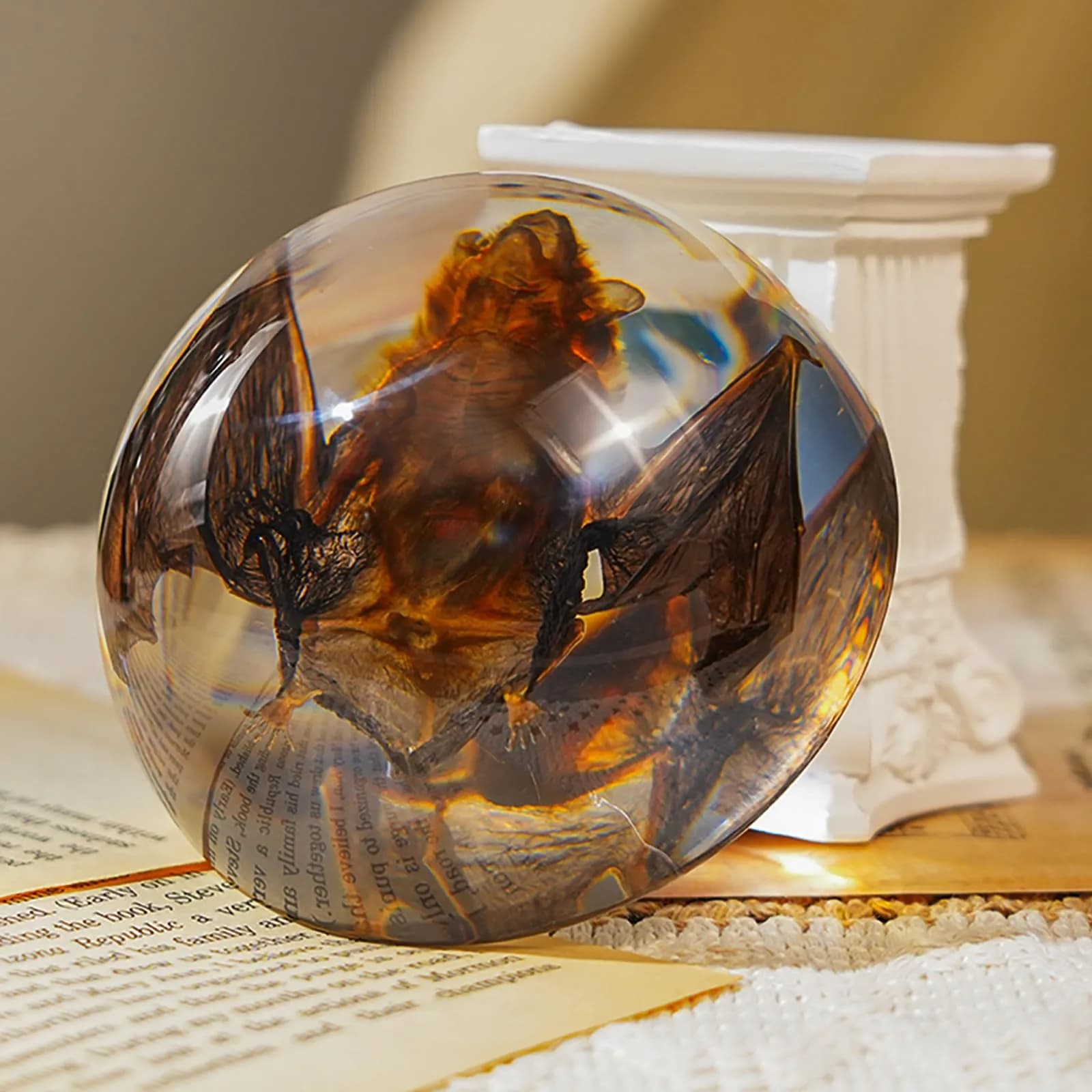 WAVEBEEXS Taxidermy Bat in Resin | Gothic Animal Specimen for Education & Decor — Bat Taxidermy (Round 3.5 Inch)