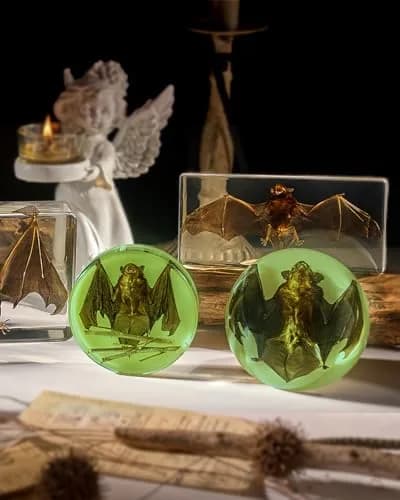 WAVEBEEXS Taxidermy Bat in Resin | Luminous Macabre Decor & Educational Specimen thumbnail 4