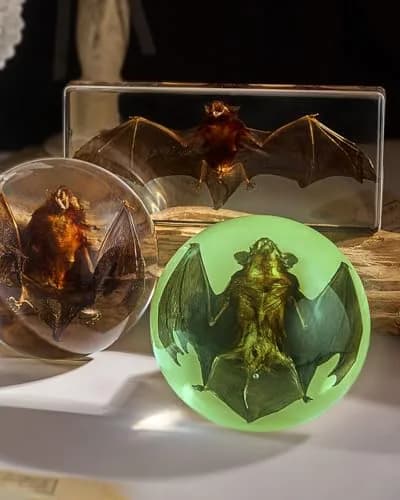 WAVEBEEXS Taxidermy Bat in Resin | Luminous Macabre Decor & Educational Specimen thumbnail 5
