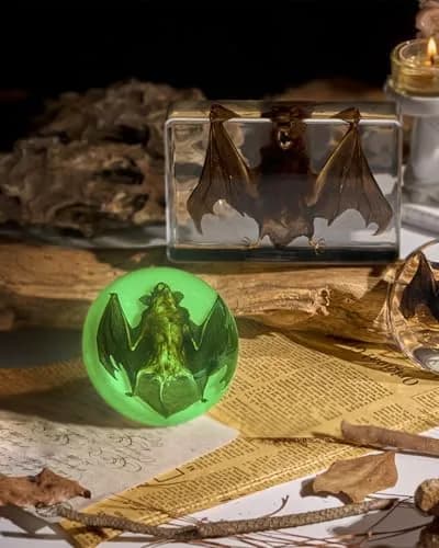 WAVEBEEXS Taxidermy Bat in Resin | Luminous Macabre Decor & Educational Specimen thumbnail 3