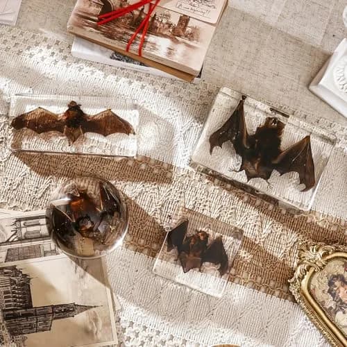WAVEBEEXS Taxidermy Bat in Resin 3x3x1in | Macabre Animal Specimen for Education & Decor thumbnail 6