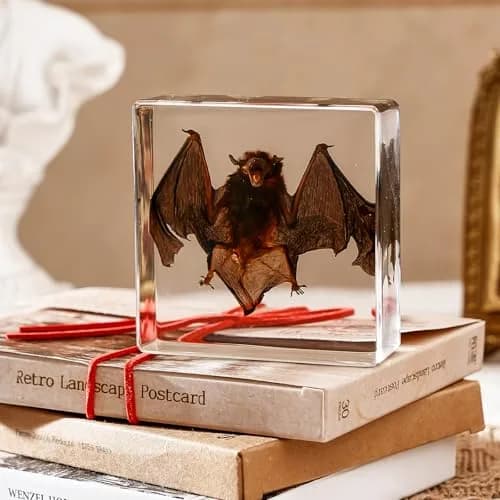 WAVEBEEXS Taxidermy Bat in Resin 3x3x1in | Macabre Animal Specimen for Education & Decor thumbnail 2