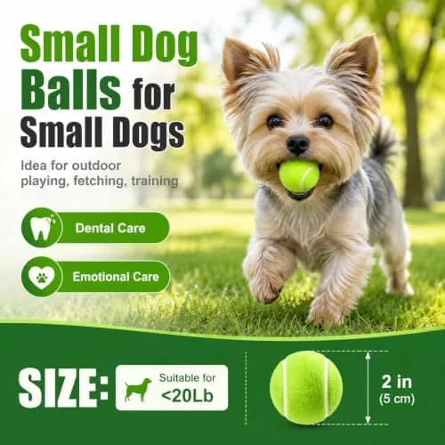 INSUM Small Tennis Balls for Dogs 6 Pack 2.0" Squeaky Dog Balls for Small Dogs | Bright Colors & High Bounce thumbnail 4