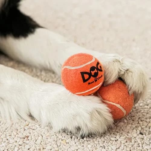 INSUM Small Tennis Balls for Dogs 6 Pack 2.0" Squeaky Dog Balls for Small Dogs | Bright Colors & High Bounce thumbnail 6