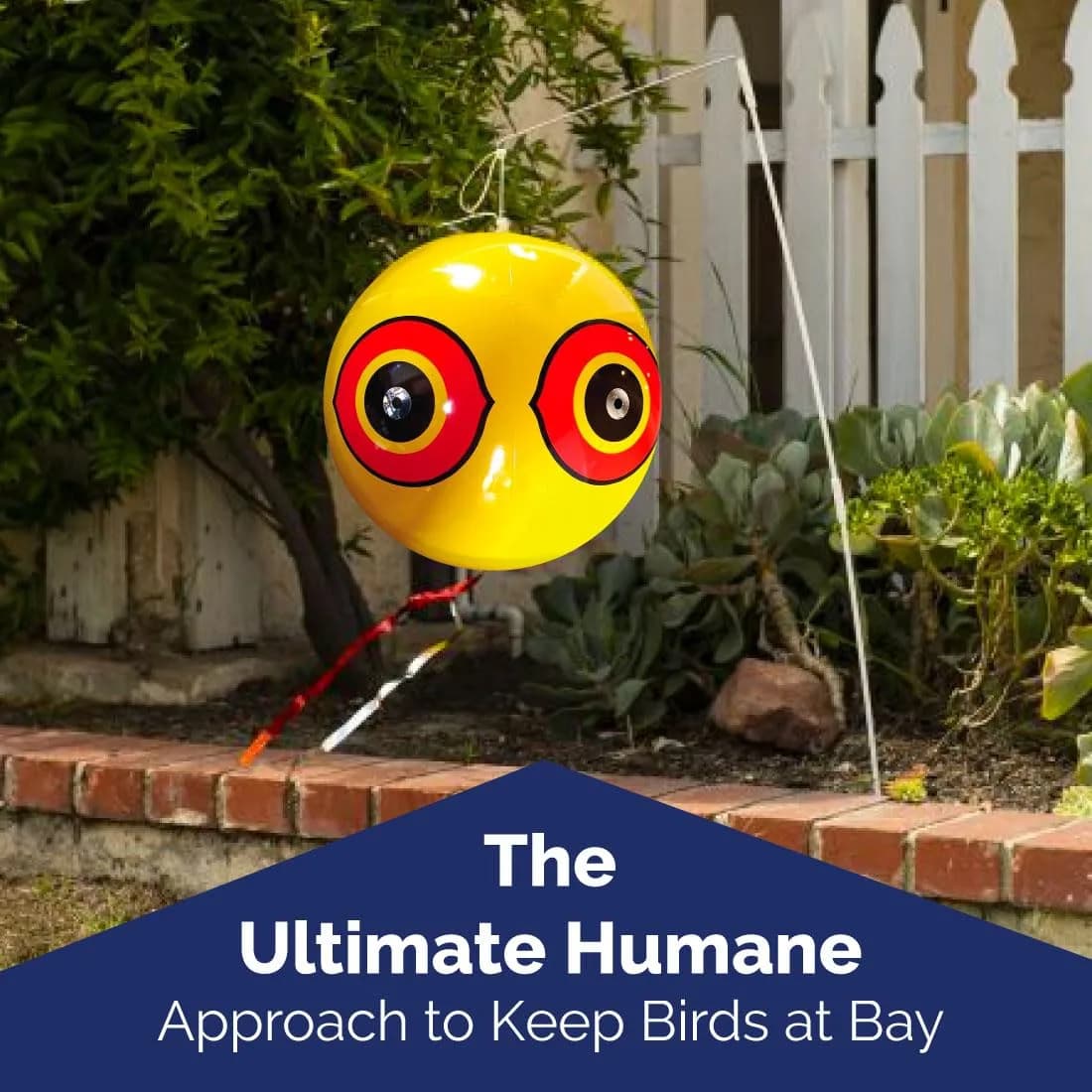 Bird-X Scare Eye Balloons 3 Count (Pack of 2) | Visual Bird Control for Gardens & Patios - view 5