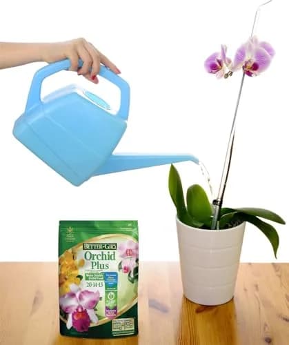 Better-Gro Orchid Plus Fertilizer 16 oz (454 g) | Urea-Free Formula for Vigorous Growth thumbnail 7
