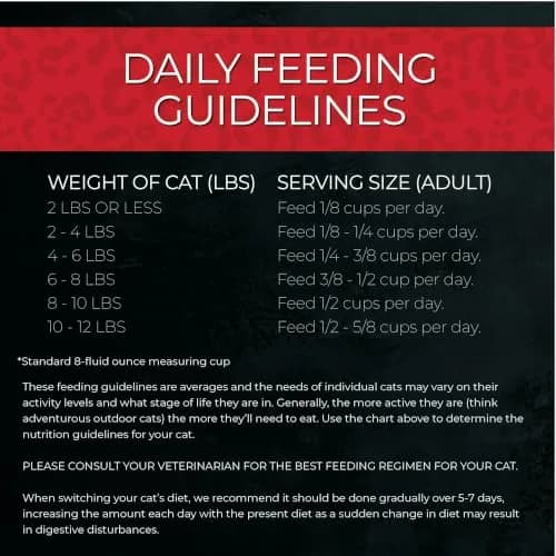 Fussie Cat Market Fresh Chicken & Turkey Recipe, Dry Cat Food, 3.5lb Bag | Meat-First Nutrition for All Life Stages thumbnail 6