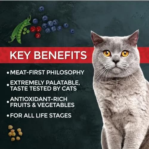 Fussie Cat Market Fresh Chicken & Turkey Recipe, Dry Cat Food, 3.5lb Bag | Meat-First Nutrition for All Life Stages thumbnail 4