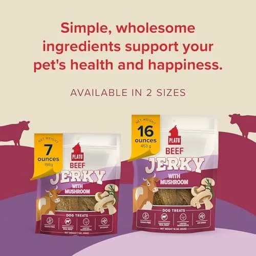 PLATO Dog Jerky Treats Beef & Mushroom 7oz | Air-Dried, Grain-Free, Supports Digestion thumbnail 4