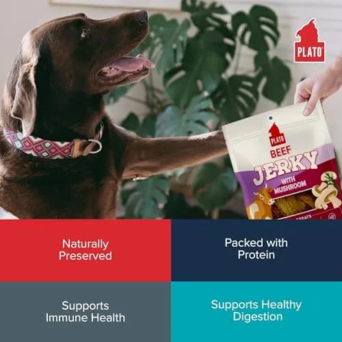 PLATO Dog Jerky Treats Beef & Mushroom 7oz | Air-Dried, Grain-Free, Supports Digestion thumbnail 5