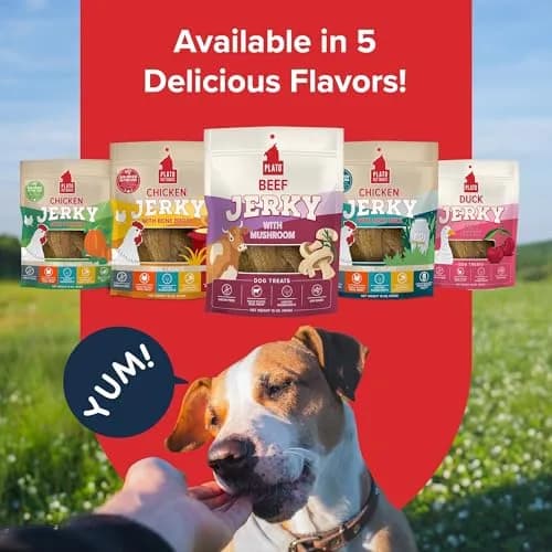 PLATO Dog Jerky Treats Beef & Mushroom 7oz | Air-Dried, Grain-Free, Supports Digestion thumbnail 6