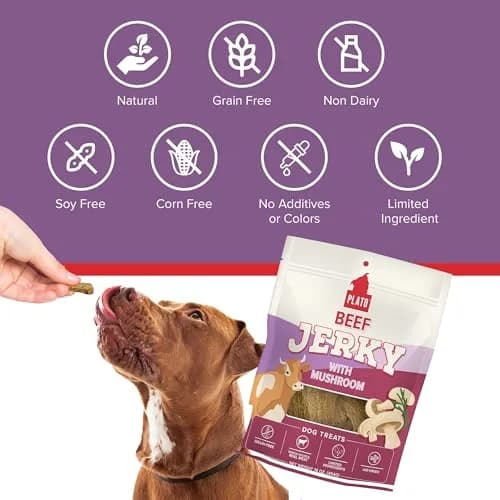 PLATO Dog Jerky Treats Beef & Mushroom 7oz | Air-Dried, Grain-Free, Supports Digestion thumbnail 7