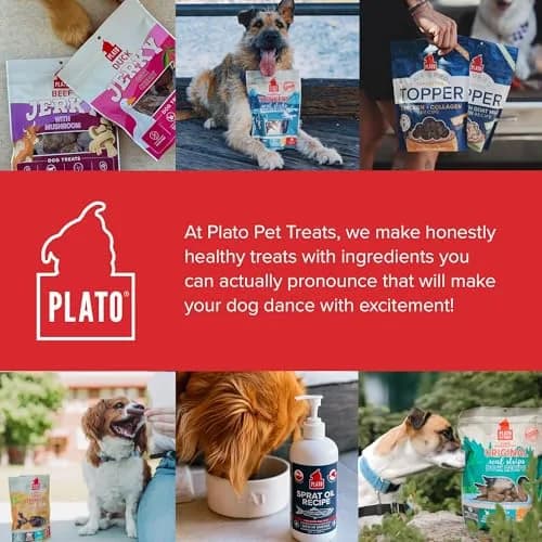 PLATO Dog Jerky Treats Beef & Mushroom 7oz | Air-Dried, Grain-Free, Supports Digestion thumbnail 8
