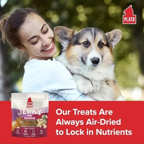 PLATO Dog Jerky Treats Beef & Mushroom 7oz | Air-Dried, Grain-Free, Supports Digestion thumbnail 3
