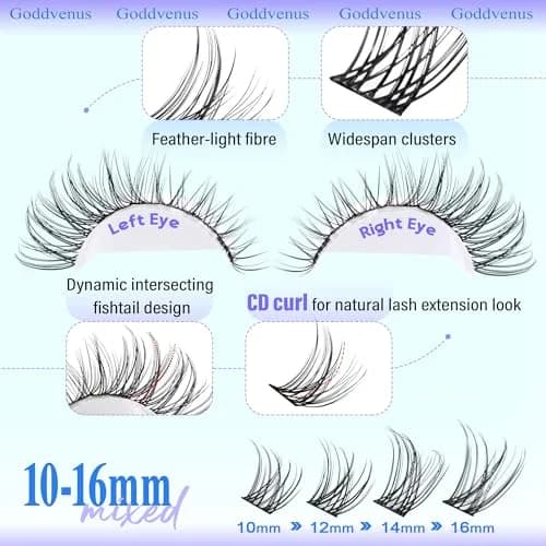 Goddvenus Wispy Lash Clusters 144pcs D Curl | Natural Individual Lashes for DIY Glamour thumbnail 4