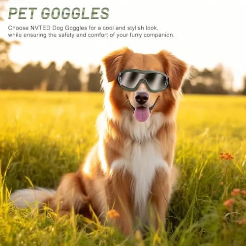 NVTED Dog Sunglasses Goggles for Medium to Large Dogs | UV Protection, Wind & Dust Shield (Green) thumbnail 5