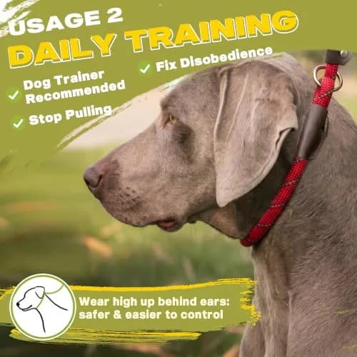 Fida Dog Leash 4 ft x 1/2" | Anti-pull Slip Lead for Large & Medium Dogs thumbnail 5