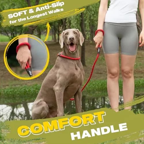 Fida Dog Leash 4 ft x 1/2" | Anti-pull Slip Lead for Large & Medium Dogs thumbnail 6