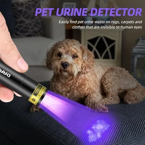 DARKBEAM UV Flashlight 365nm & 395nm Black Light 2 Pack | Dual Wavelength Detection thumbnail 5