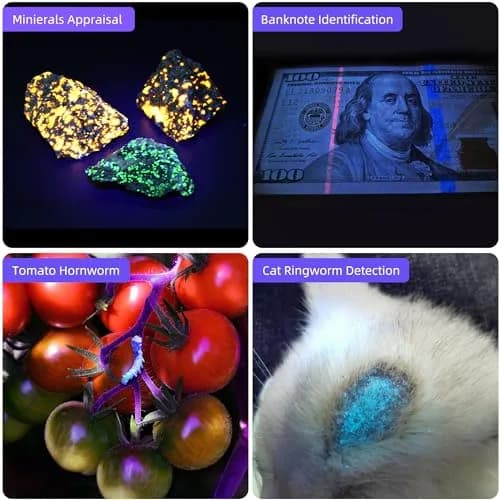 DARKBEAM UV Flashlight 365nm & 395nm Black Light 2 Pack | Dual Wavelength Detection thumbnail 8