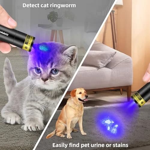 DARKBEAM UV Flashlight 365nm & 395nm Black Light 2 Pack | Dual Wavelength Detection thumbnail 3