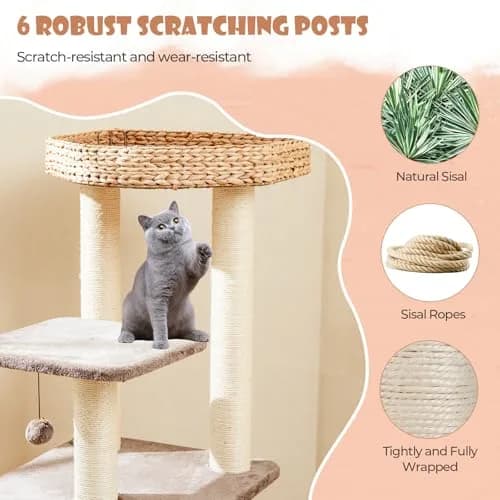 PETSITE 52 inch Cattail Cat Tree | Multi-Level Indoor Cat Tower with Scratching Posts & Cushions thumbnail 6