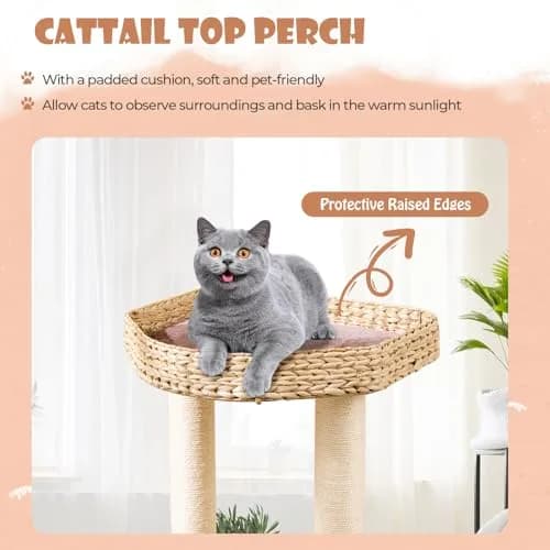PETSITE 52 inch Cattail Cat Tree | Multi-Level Indoor Cat Tower with Scratching Posts & Cushions thumbnail 8