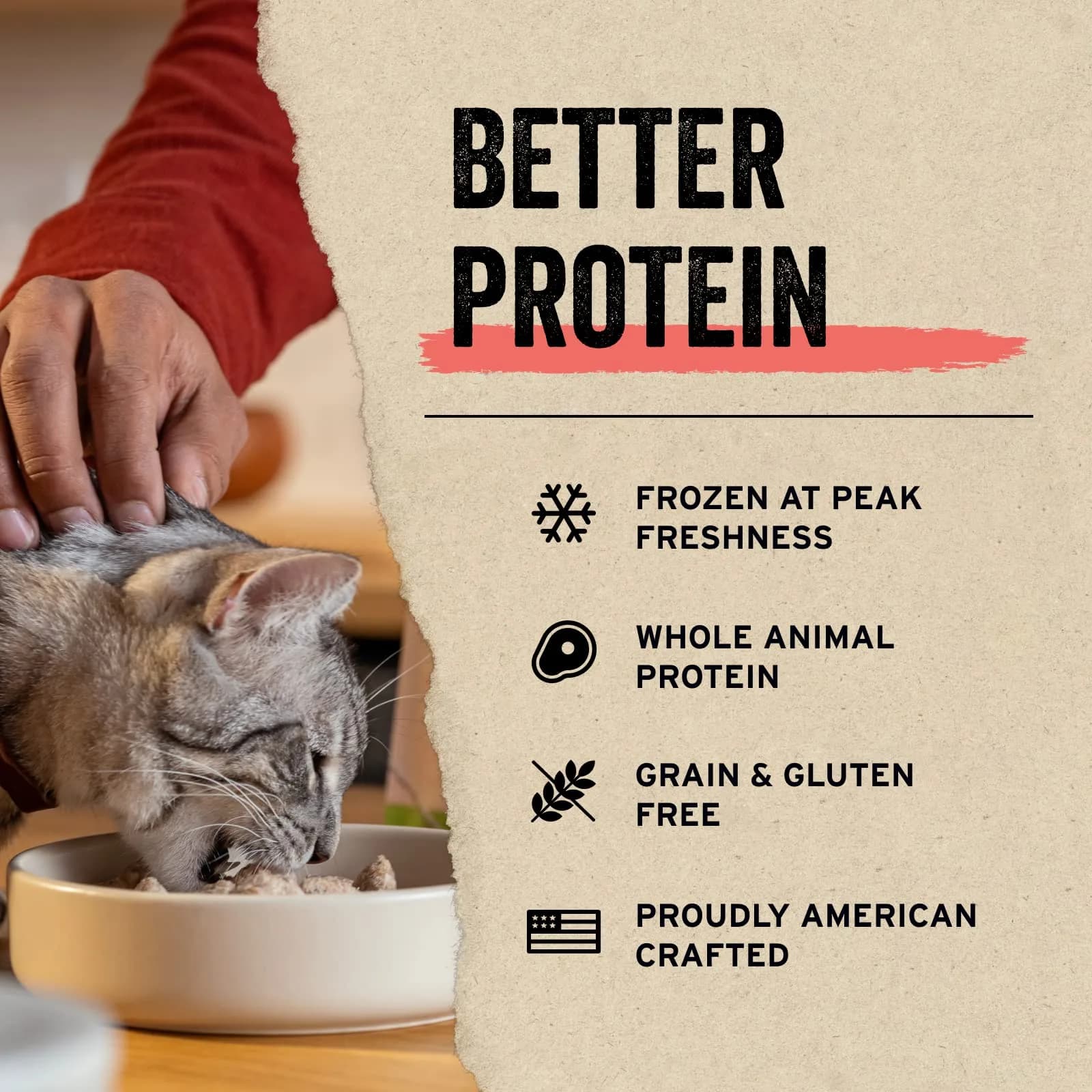Vital Essentials Freeze Dried Minnows Cat Treats 1 oz (3 oz Total) | Single Ingredient Protein Boost - view 4