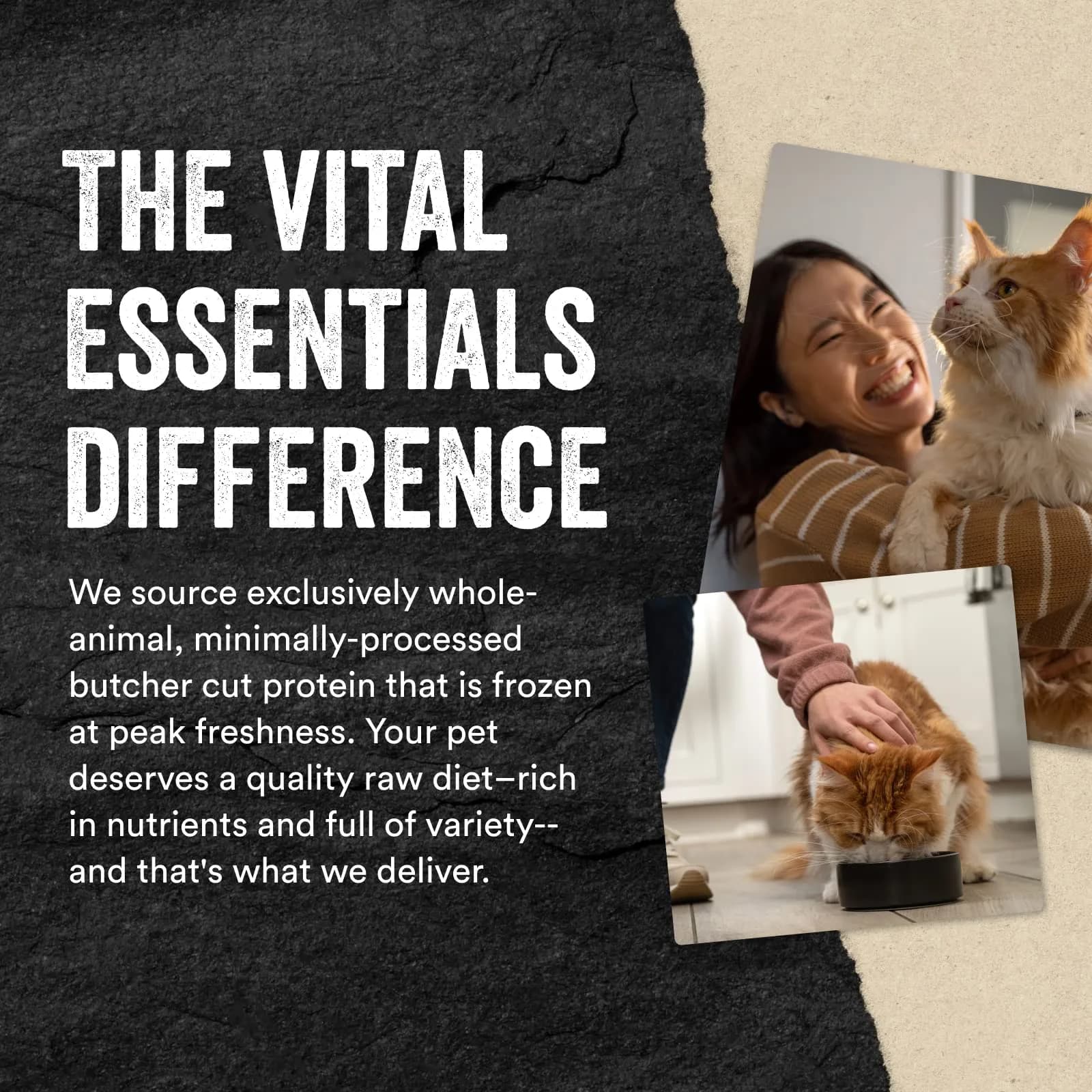 Vital Essentials Freeze-Dried Raw Chicken Hearts Cat Treats 2.4 oz (70g) | Single Ingredient Protein Boost - view 6