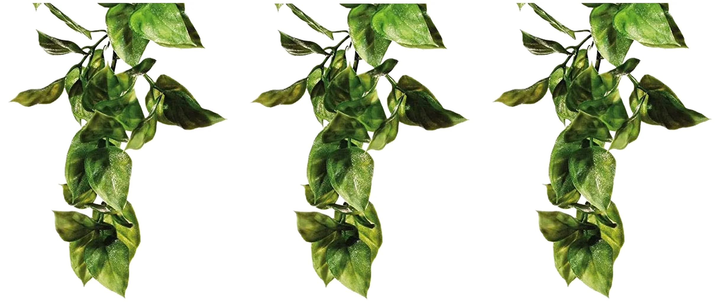 Exo Terra Plastic Terrarium Plant, Large, Amapallo (Pack of 3) | Realistic Reptile Habitat Decor — Multi Color
