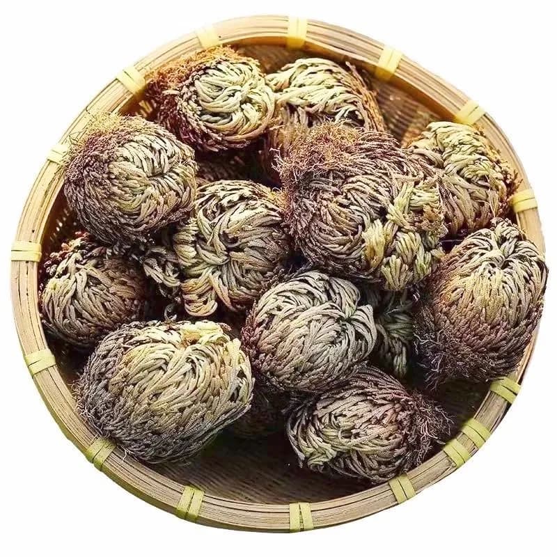 EquSym Rose of Jericho Dried Plants 17 Pack (0.2 lb / 0.09 kg) | Spiritual Purification & Home Decor - main product image