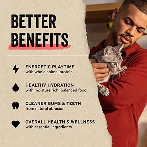 Vital Essentials Freeze Dried Chicken Hearts Cat Treats 0.8 oz (Pack of 6) | Single Ingredient Protein Boost thumbnail 5