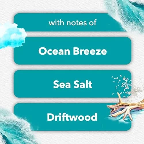 Glade PlugIns Refills Air Freshener Sky & Sea Salt 6.7 Fl Oz (199 ml) | Scented Oil with Essential Oils thumbnail 4
