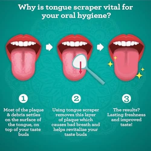 GuruNanda Stainless Steel Tongue & U-Shaped Scraper Pack (2 Pack) with Travel Case | Promotes Fresh Breath & Oral Hygiene thumbnail 3