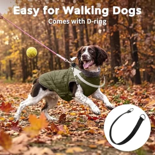 JoyDaog Fleece Dog Jacket with Harness for Small Dogs, Green M 16"-18" Chest | Warm, Waterproof, Windproof thumbnail 8