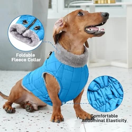 JoyDaog Blue Fleece Dog Jacket with Harness for Small Dogs, Size S (12.5"-15.9" Chest) | Winter Warmth & Windproof Protection thumbnail 5