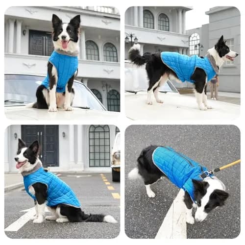 JoyDaog Blue Fleece Dog Jacket with Harness for Small Dogs, Size S (12.5"-15.9" Chest) | Winter Warmth & Windproof Protection thumbnail 7