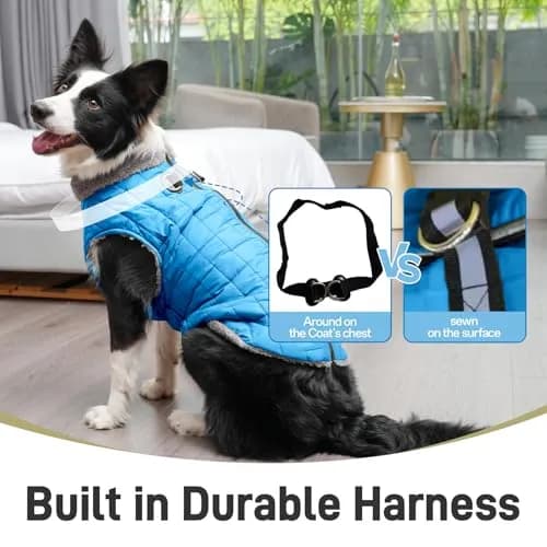 JoyDaog Blue Fleece Dog Jacket with Harness for Small Dogs, Size S (12.5"-15.9" Chest) | Winter Warmth & Windproof Protection thumbnail 2