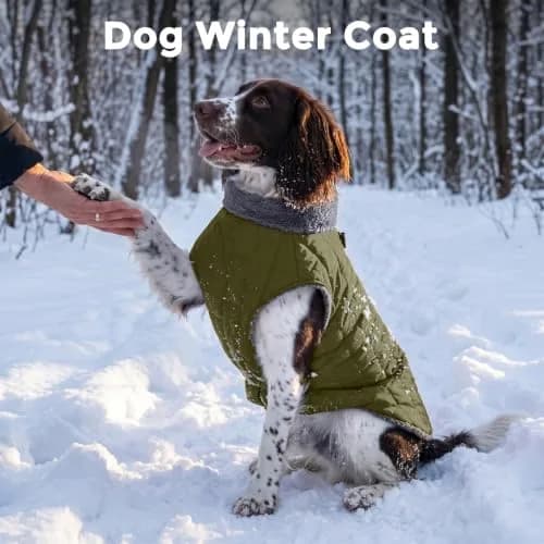 JoyDaog Fleece Dog Jacket with Harness for Small Dogs & Puppies, Green S | Warm, Waterproof, Windproof thumbnail 2