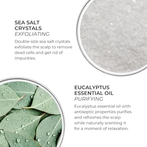 PHYTO Scalp Solutions Purifying Scrub - Exfoliating Sea Salt & Eucalyptus Deep Cleanse - Removes Buildup, Silicone & Sulfate-Free - For Oily Scalp - 7.05 oz thumbnail 2