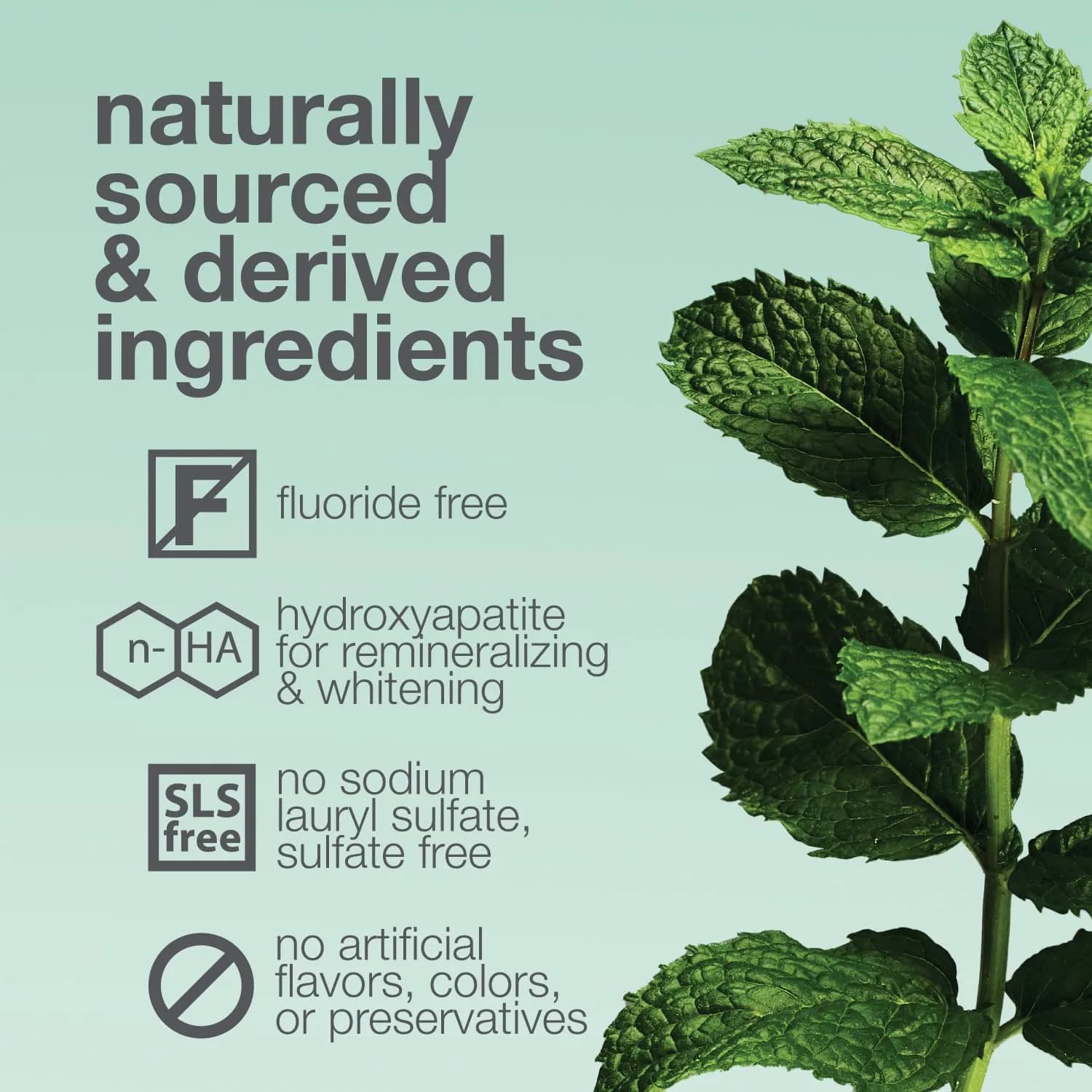Davids Nano Hydroxyapatite Toothpaste Fluoride Free Mild Peppermint 4oz (113g) | EWG Verified & USA Origin Ingredients - view 5